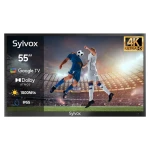 Telewizor zewnętrzny 4K Sylvox Deck Pro 2.0 55