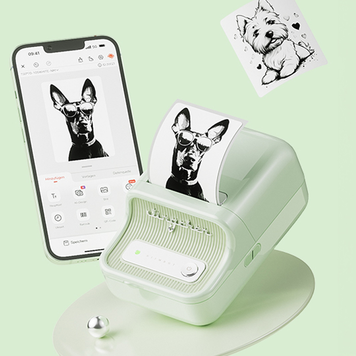 drukarka etykiet Niimbot B21, etykieciarka Bluetooth, mobilna drukarka termiczna, drukarka do etykiet samoprzylepnych, drukarka do kodów kreskowych, etykieciarka do biura, drukarka do przypraw, Niimbot aplikacja do druku