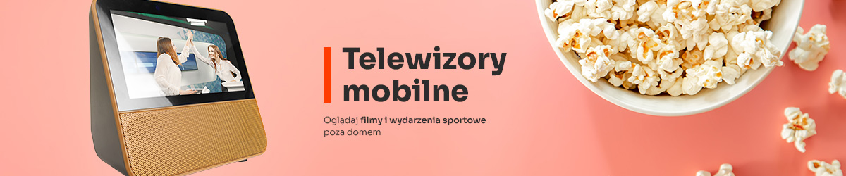 telewizory mobilne